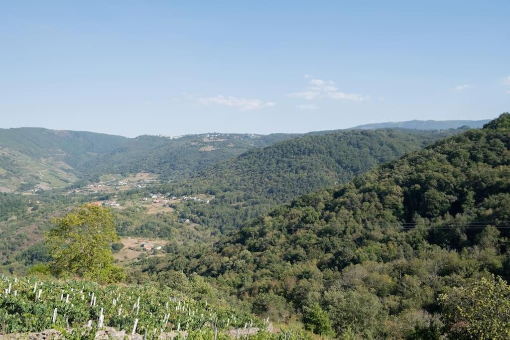 Pension Boutique Teixeira, 3 Estrellas La Teijeira Εξωτερικό φωτογραφία